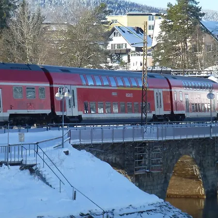 Lägenhet Haus Schwarzwaldmadel *
