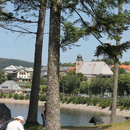Haus Schwarzwaldmadel Lägenhet Schluchsee
