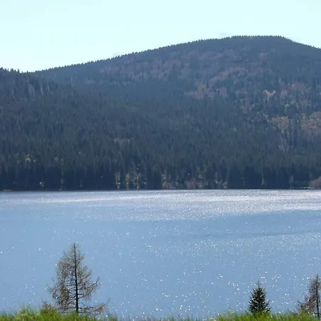 Lägenhet Haus Schwarzwaldmadel Schluchsee