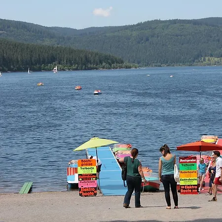Lägenhet Haus Schwarzwaldmadel *
