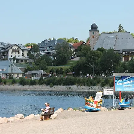 Lägenhet Haus Schwarzwaldmadel *