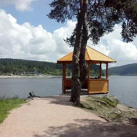 Lägenhet Haus Schwarzwaldmadel Schluchsee